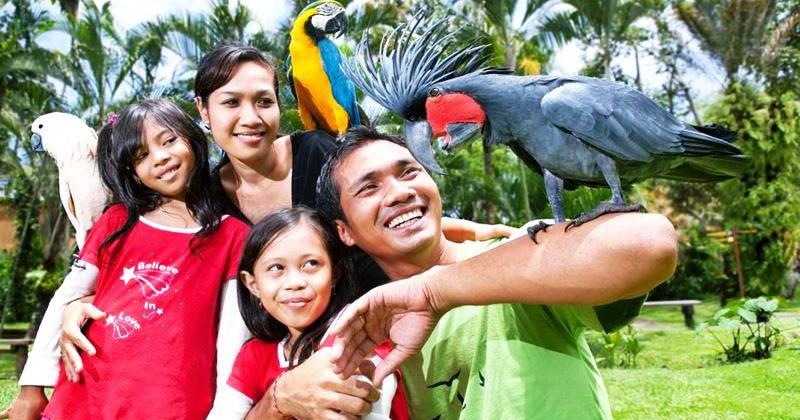 bali-bird-park-ubud