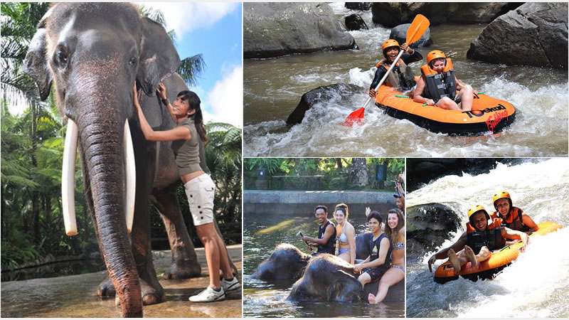 bat29-bathing-elephant-ayung-tubing