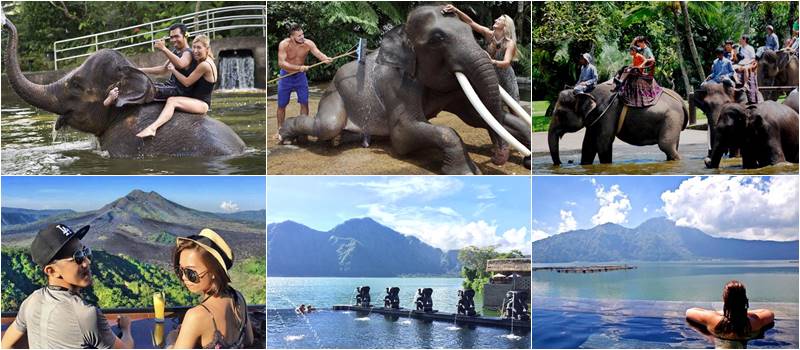 Bathing The Elephant in Bali + Kintamani - Batur Hot Spring Tour