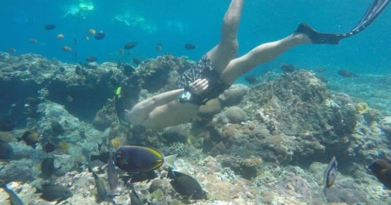 blue-lagoon-snorkeling-4