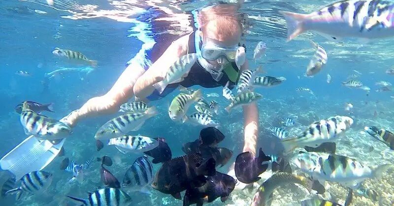 blue-lagoon-snorkeling