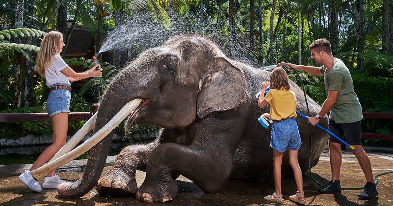 elephants-wash-tour