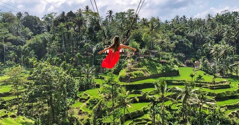 Experience Swing activities around Tegalalang